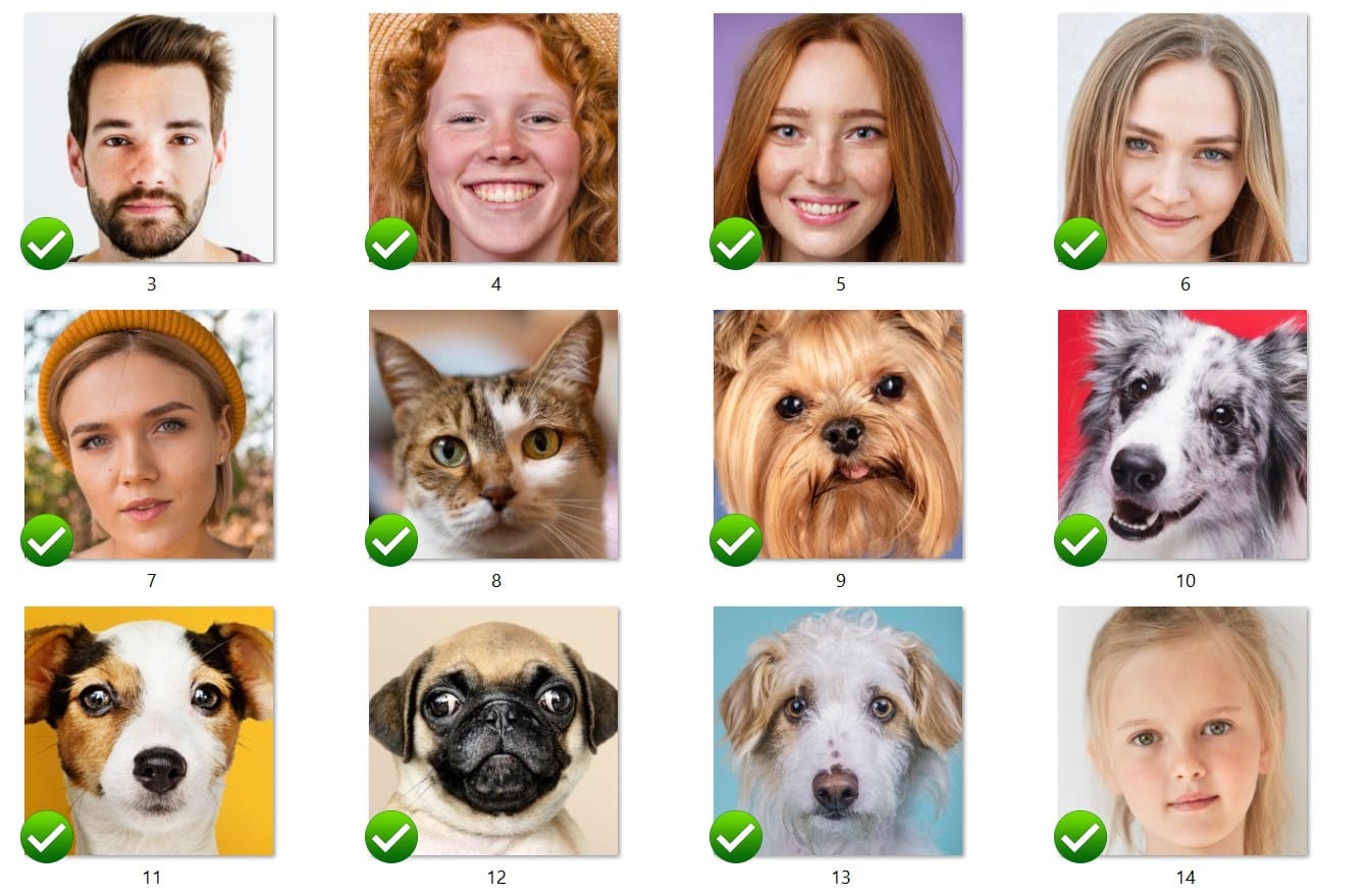 Grid of portraits and pet photos marked as suitable for string art conversion